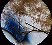 Review Image by Tahoejeepmom Tahoejeepmom