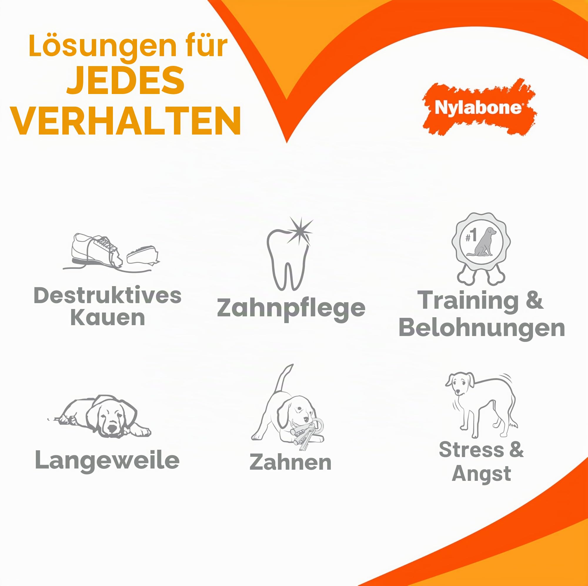 Nylabone Durable Power Dental Kauspielzeug für Hunde, Doppelpack, Rind Jerky & Huhngeschmack, groß, für Hunde bis zu 23 kg (2 Stück)