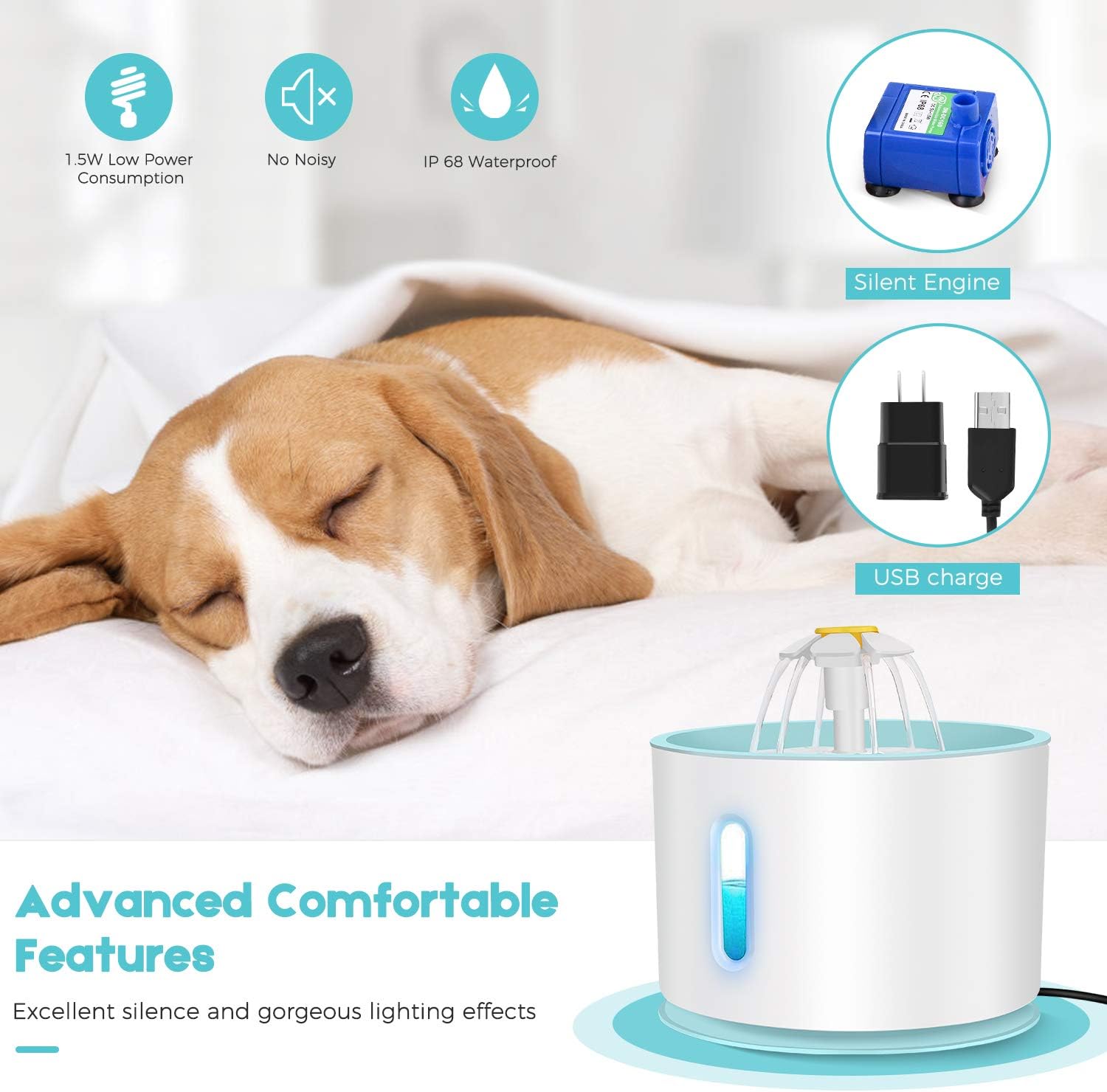 Beewarm Pump in Style Advanced Starter