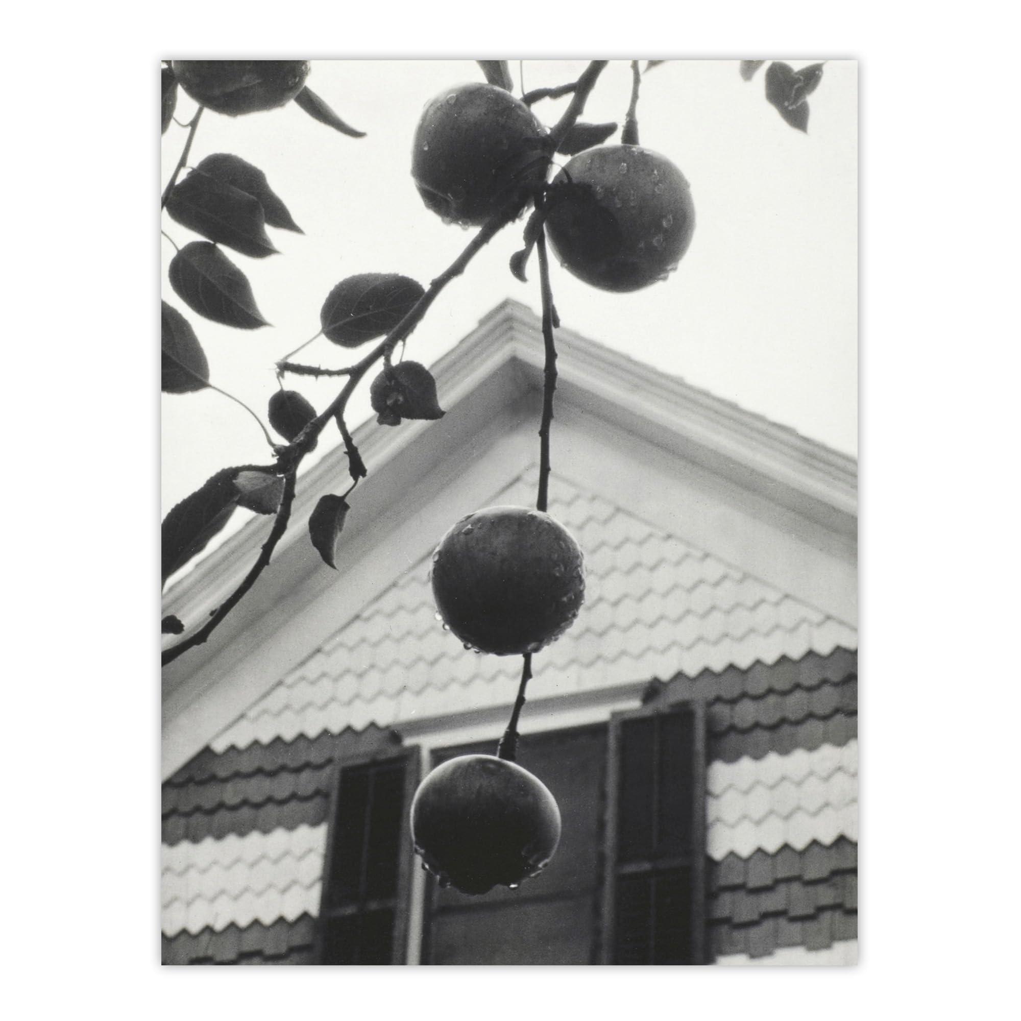 Artery8 Alfred Stieglitz Photograph Wall Art Print - Grey - W18" x H24"