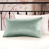 Vista 3 de LILYSILK Funda de almohada de seda de 0.748 in para cabello y piel con parte inferior de algodón, 1 unidad, tamaño Queen de 20 x 30 pulgadas