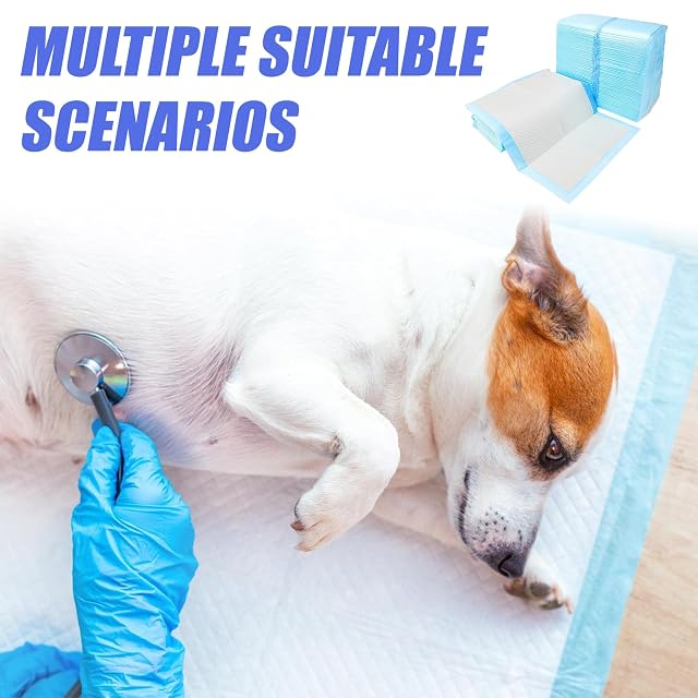 Foto 4 de 7 de BAIFULAI 100 alfombrillas PIPI para perros: 33 x 45 cm
