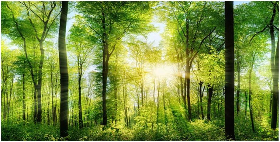 Dioche 3D Effect Forest Terrarium Background, Adhesive Forest Poster for Aquarium Fish Decoration, Foggy Rainforest Aquarium Background, PVC Background (122 * 50cm)
