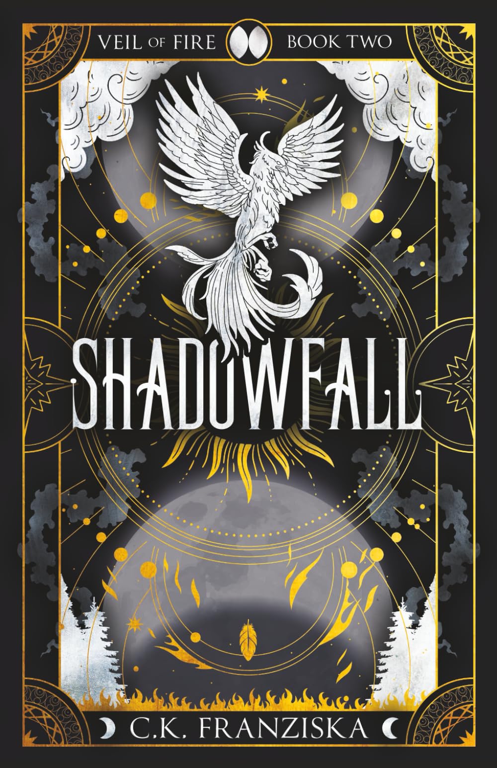 Shadowfall: Veil of Fire Book 2