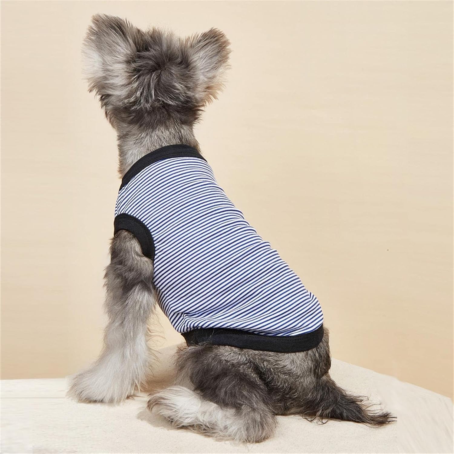 Offクーポン 敬老の日 吸汗性 安心 夏季 服 通気性 多種類 犬用ペットベスト ベスト 青色 ペット用