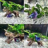 Vista 7 de Smoothedo-Pets Decoraciones de Pecera Acuario Decoración Ornamentos Betta Almohadilla de Hoja de Seda Hamaca Cueva de Madera Flotante Artificial