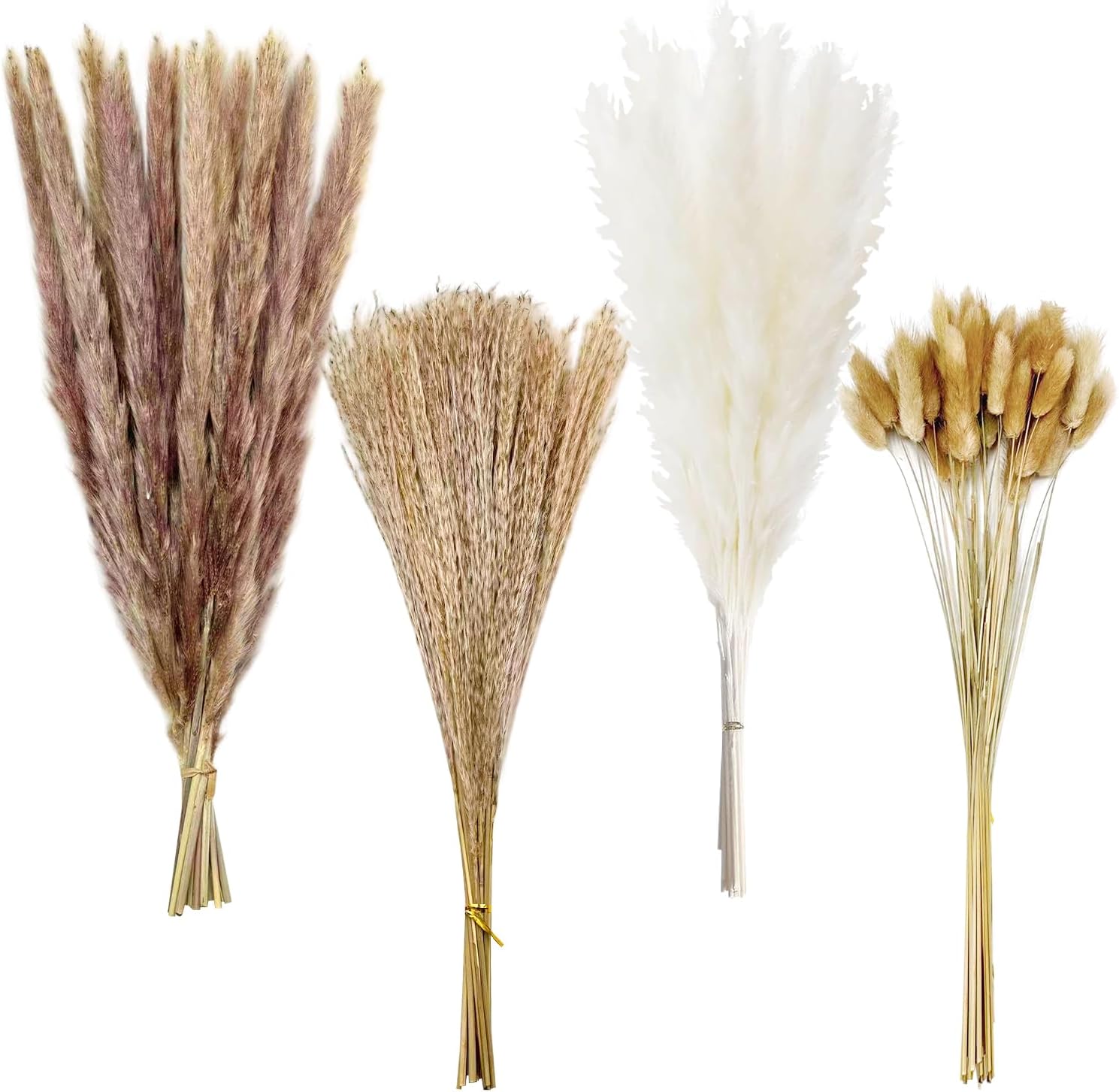 Decorado de hierba seca de papiro, 100 tallos para bodas y decoración miniatura 1