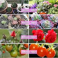 Vista 5 de bseah Luces de cultivo para plantas de interior, lámpara de crecimiento LED de espectro completo con temporizador de 3/9/12H, encendido y apagado