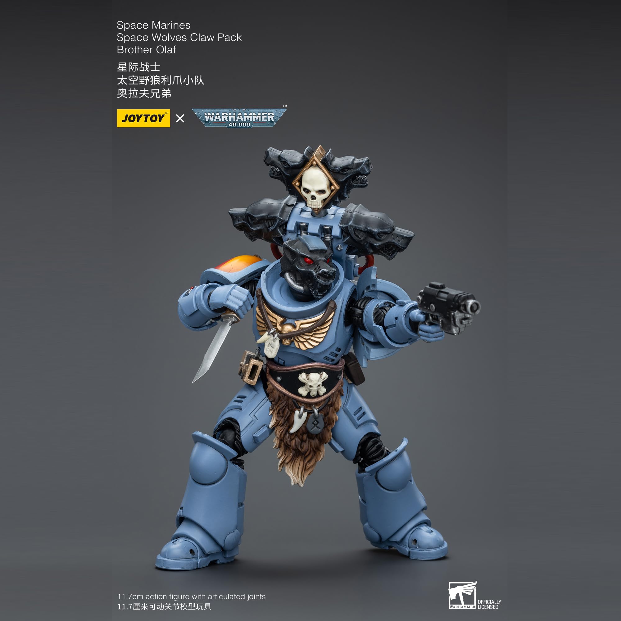 Warhammer 40k figurine Space Wolves Wolf Guard (Artist Proof