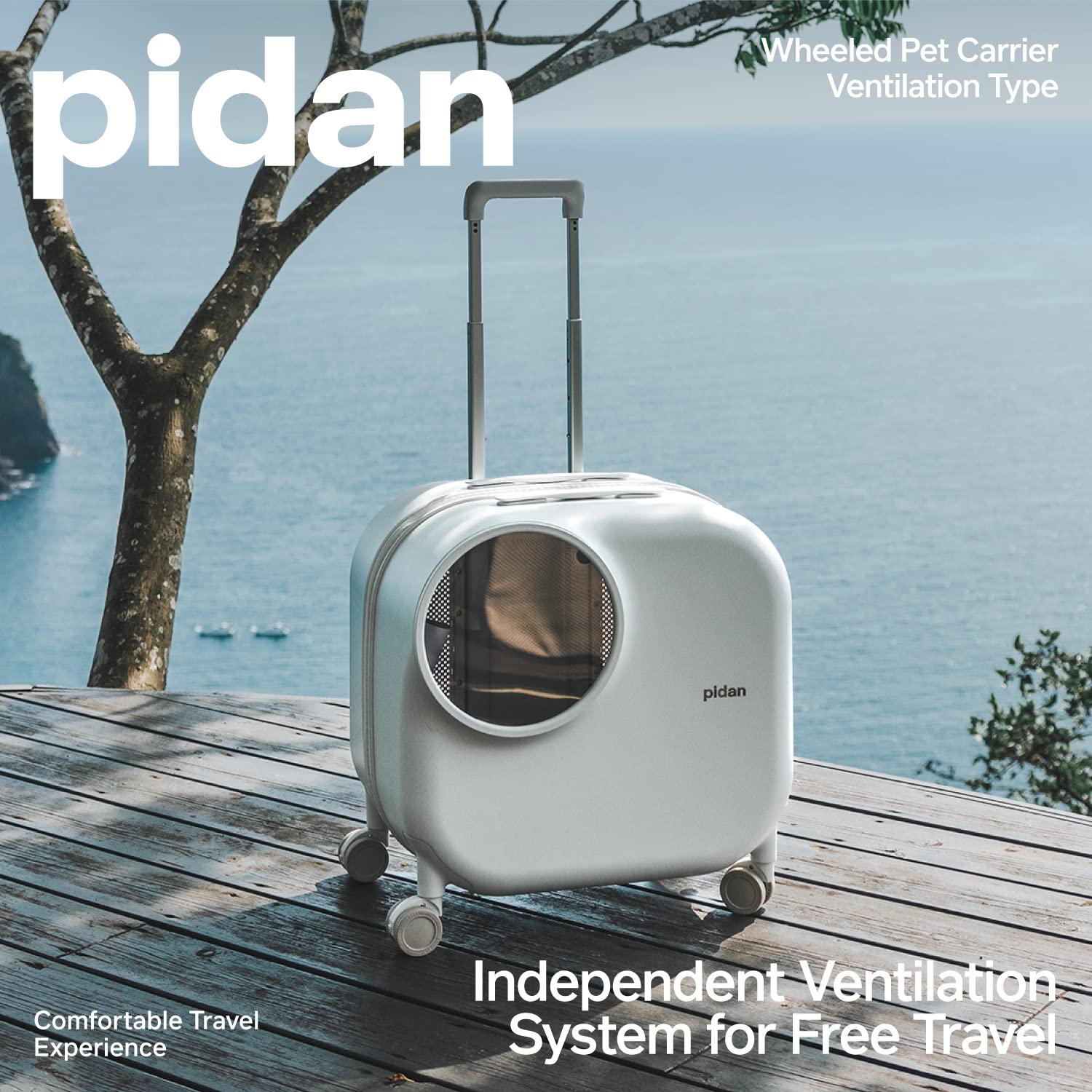Amazon.com : pidan Pet Carrier Large,Pet Suitcase,for Cat and