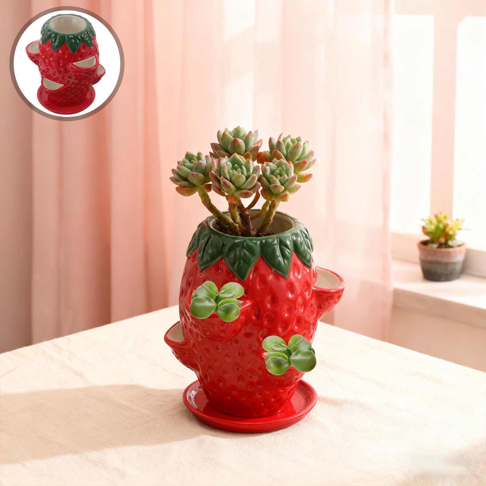 Vaso Ceramica a Forma di Fragola Rosso per Piante Grasse | Disegno Multiapertura, Completo di Sottovaso, Adatto per Orchidee e Composizioni Decorative