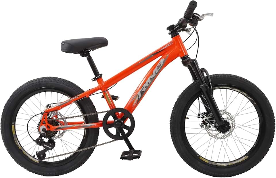 Bicicleta Aro 20 Rino Everest Infantil Freio A Disco Cambio Shimano
