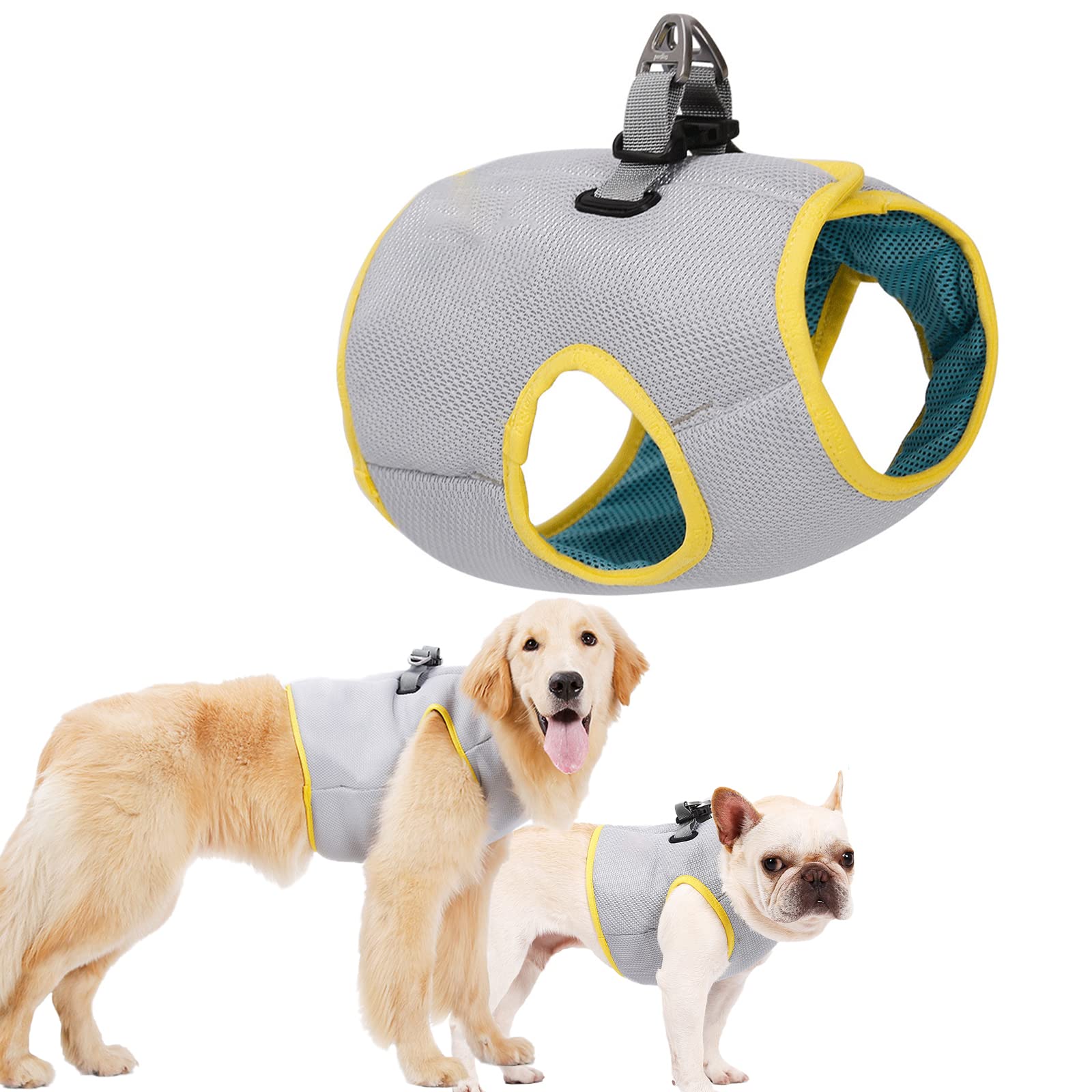 HMJGDHX Gilet rafraîchissant pour Chiens, Veste légère pour Chiens de Petite, Moyenne et Grande Taille, Manteau rafraîchissant pour la Marche en Plein air, la Chasse, l'entraînement, Le Camping,