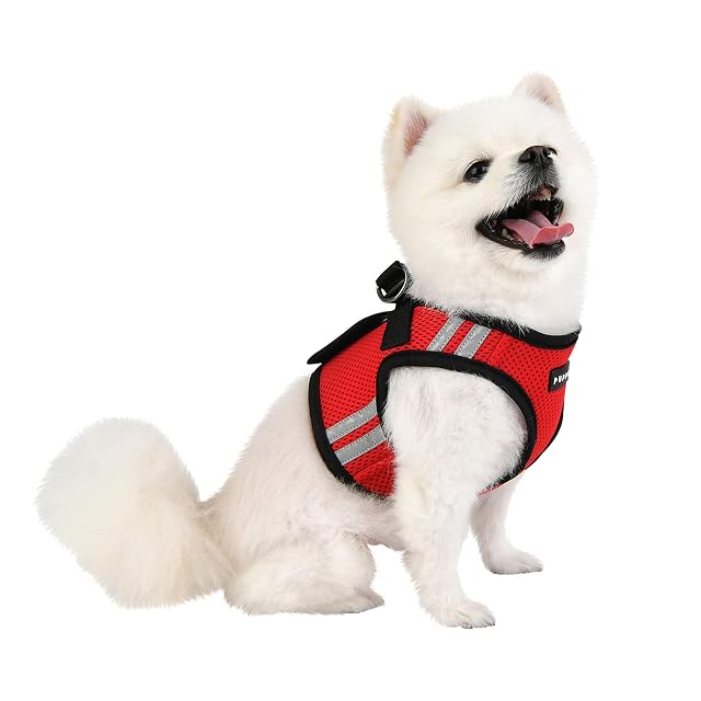 Foto 4 de 4 de PUPPIA Arnés para Perros Soft Vest Harness Pro, Rojo, M