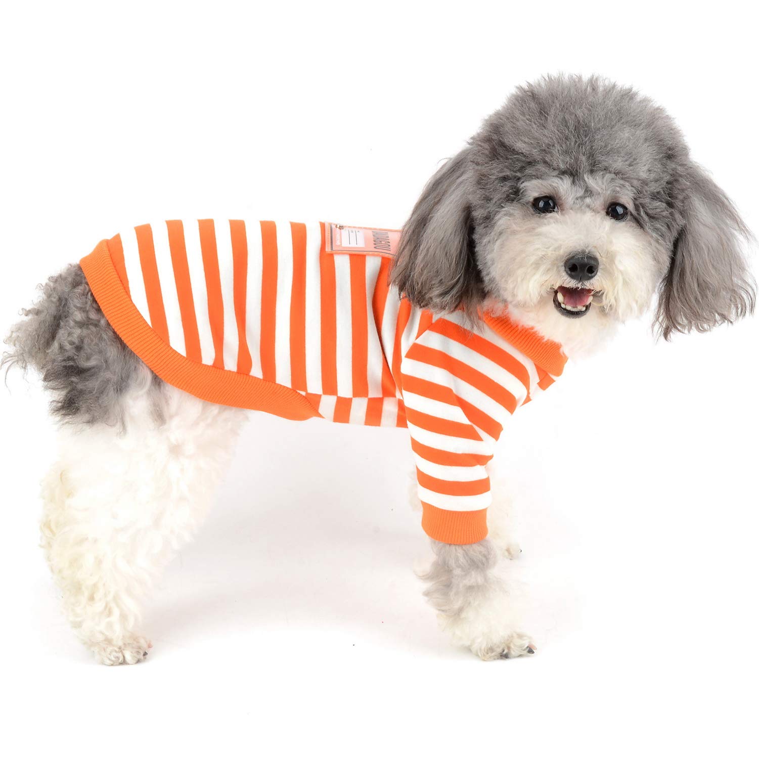 Zunea Dog Shirts for Small Dogs Girl Boy Summer Puppy Vest Clothes Soft Cotton Striped Sun Protection Tee Shirt Short Sleeve Pet Dog Chihuahua Apparel Cat Clothing Orange S