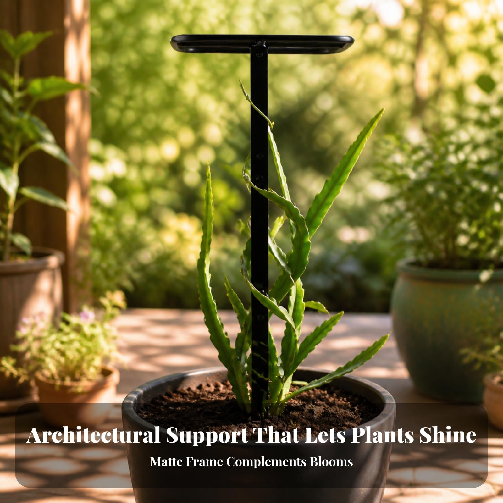 Tuteur pour Plantes Grimpantes