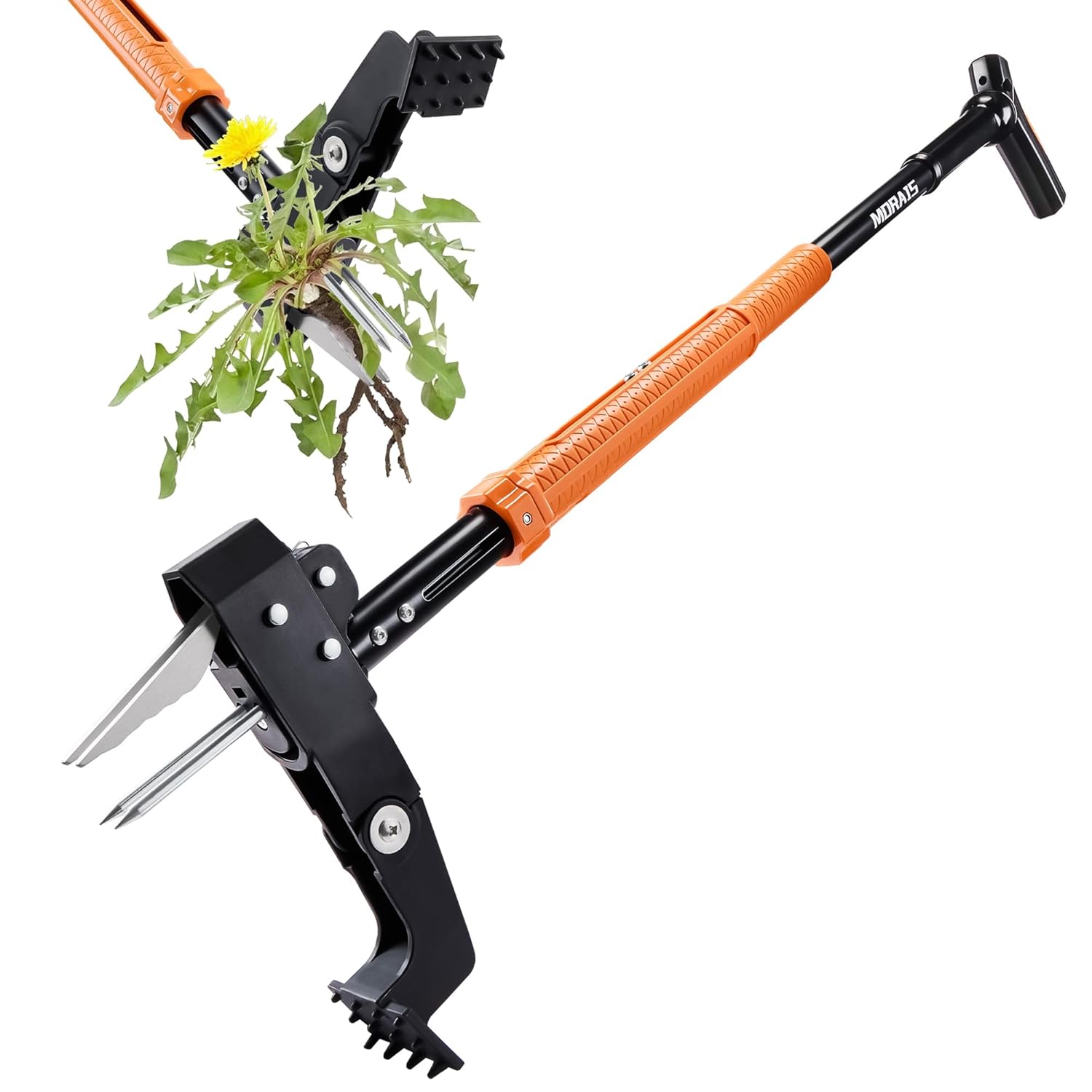 MORAIS Stand-Up Weed Puller: Heavy-Duty 4-Claw Stainless Steel, 39-46" Adjustable Handle, Foot Pedal & Easy Eject - No Bending Weed Remover