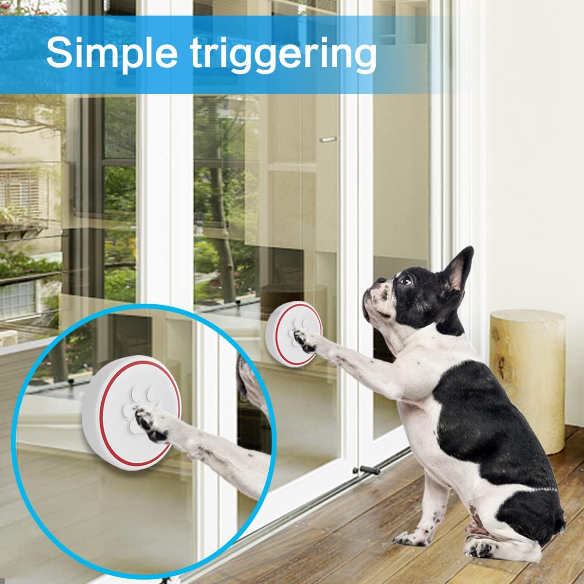 ChunHee Dog Doorbell-Dog Doorbells for Potty Training-Wireless Dog Door Bells for Dogs Cats Training, Waterproof Touch Buttons, Dog Doorbells for More Puppies (1 Receiver & 3 Transmitters) : Pet Supplies