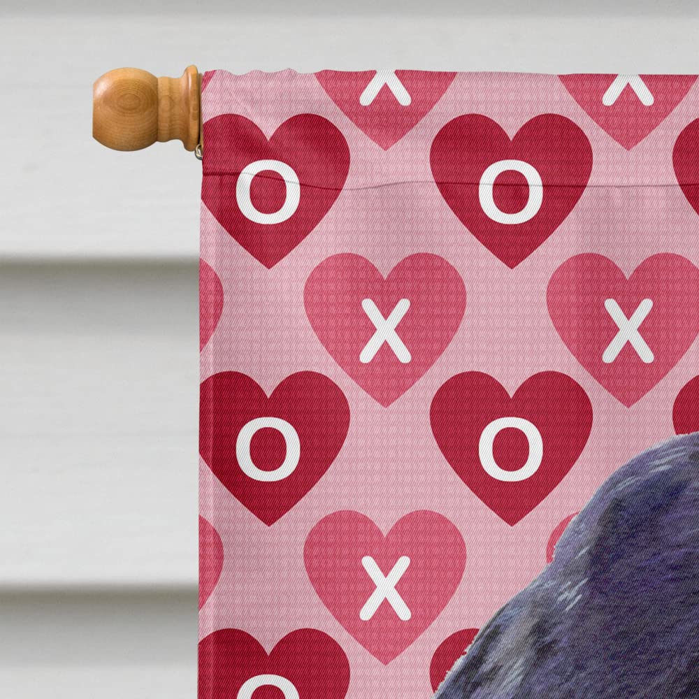 Carolin Toros BB2146HCS4 Bandera Americana Y Cocker Spaniel