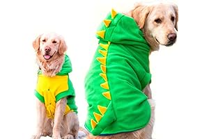 Dog School Bus Costume: Canine Curiosity Cruiser