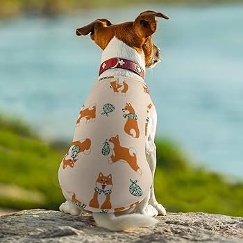 限定品 新品未使用 柴犬柄Tシャツ&柴犬柄ロングパンツ 上下セット gelato pique ジェラートピケ 柴犬柄 Tシャツ ロングパンツ 上下