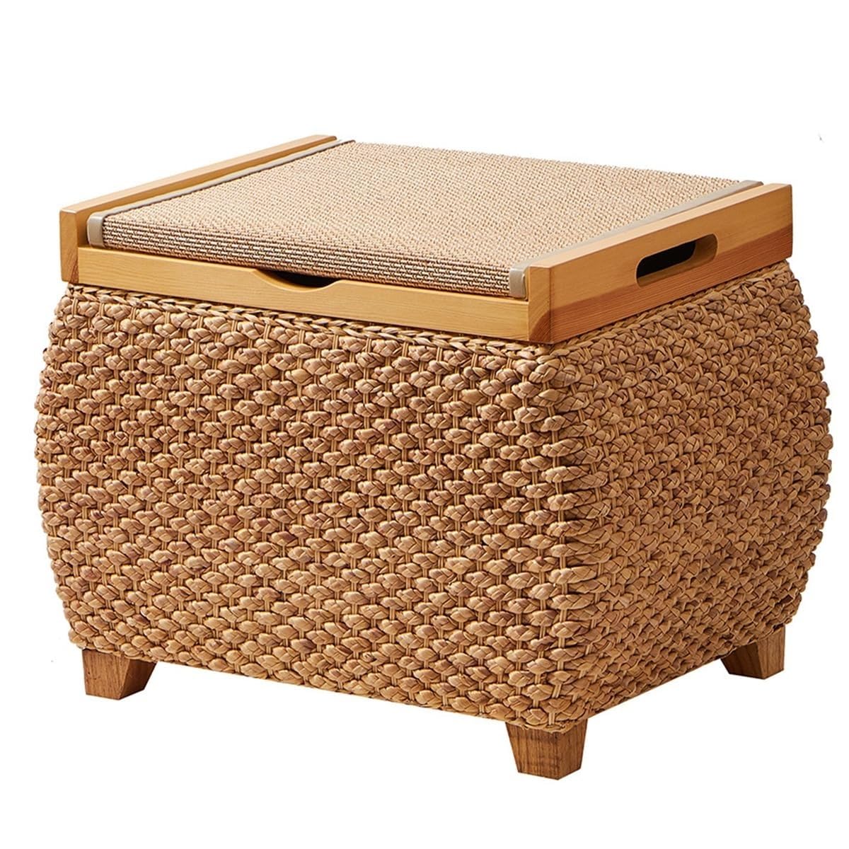 SDCFFC Entryway Storage Bench with Flip Lid Small Padded Shoe Rack Bench for Hallway & Living Room Beautiful