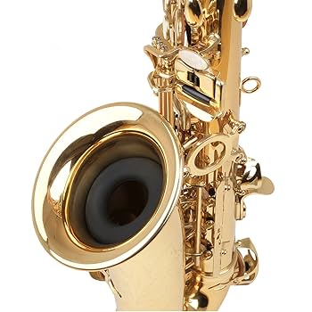 【新品未使用タグ付】 ORGUE／gold button knit 【Sax】 Amazon.com: Vaguelly 1PC Silicone Saxophone Silencer Ring