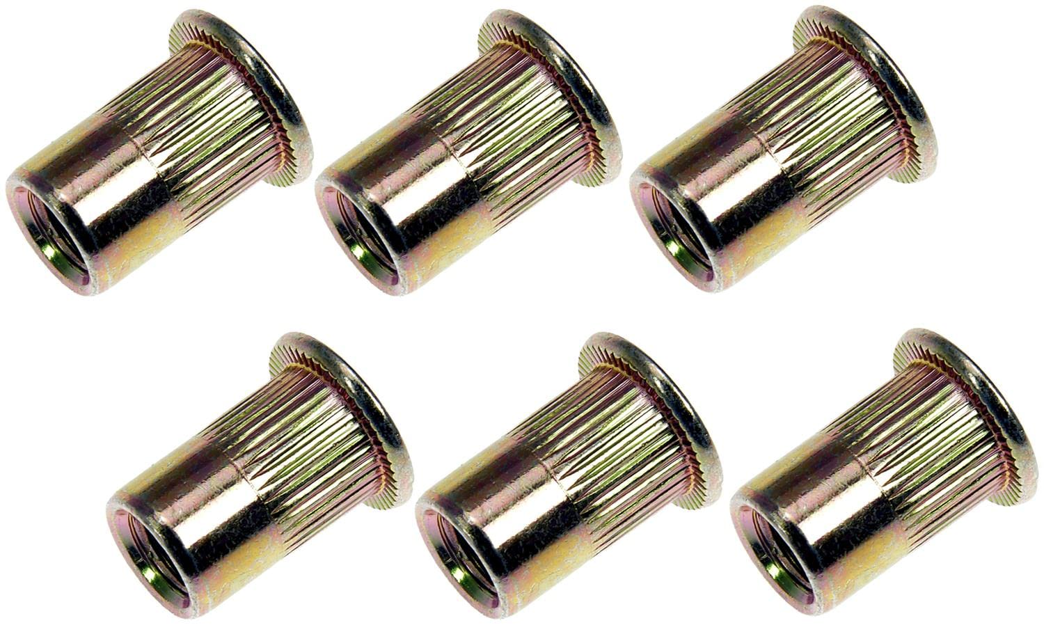 Dorman 963-254D: Rivet Nut - M6