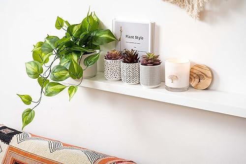 Miniatura 3 de Kurrajong Farmhouse Planta artificial Pothos falsa  Planta falsa de hiedra con maceta de cerámica blanca  Planta sintética con hojas de color verde