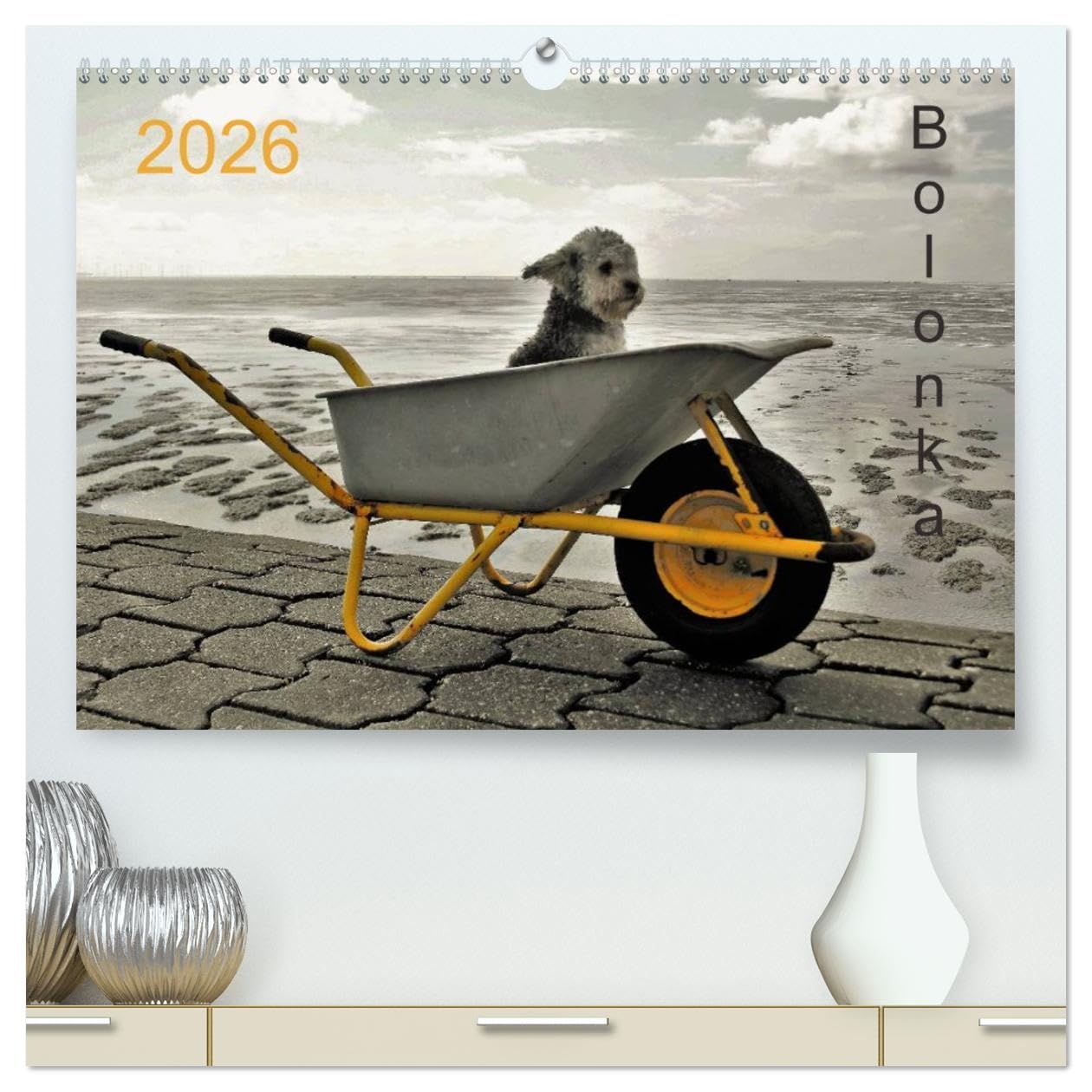 Bolonka 2026 (hochwertiger Premium Wandkalender 2026 DIN A2 quer), Kunstdruck in Hochglanz: Ein Wandkalender nicht nur für Bolonka - Liebhaber (CALVENDO Tiere)