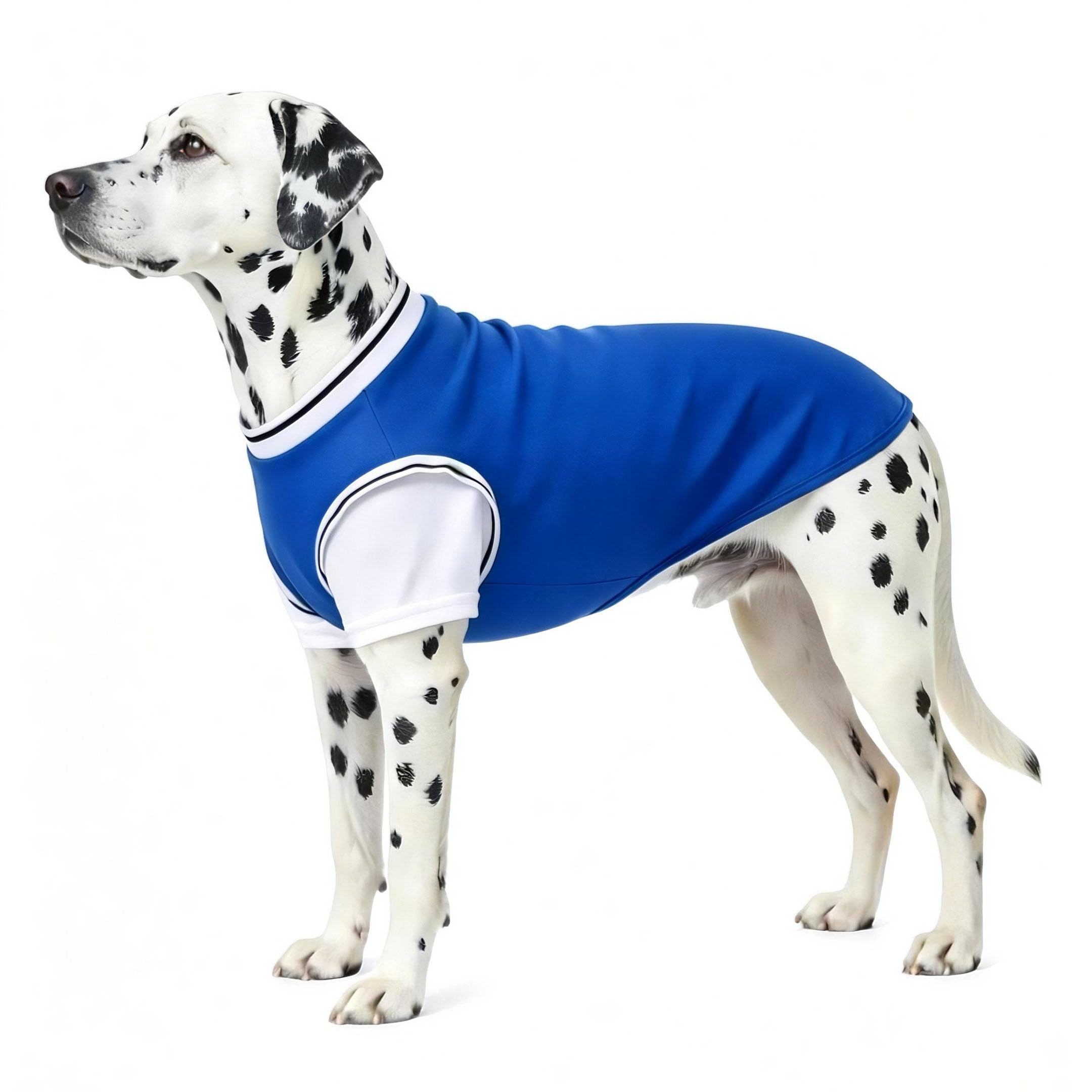 T-shirt de sport pour chien grand gabarit XXXXL basket bleu aise