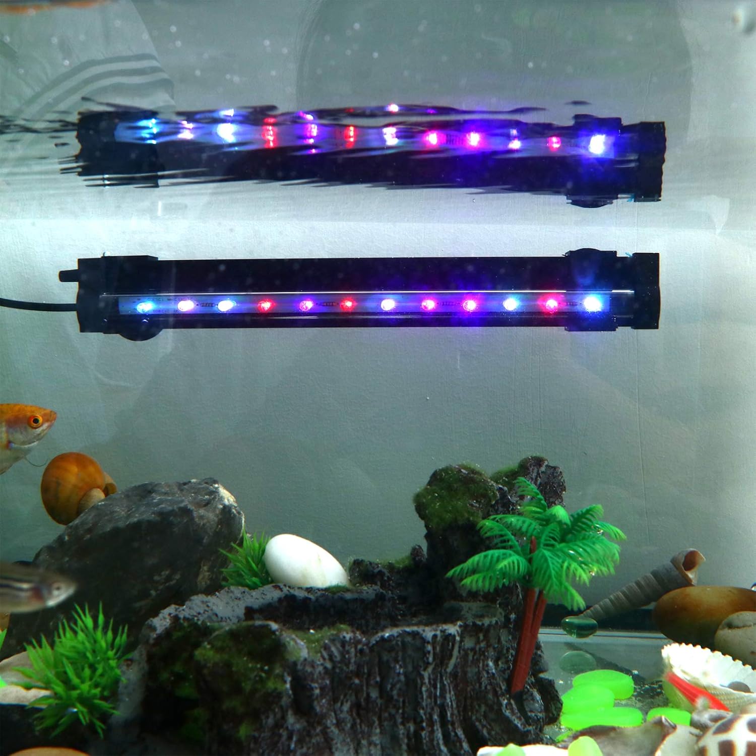 22公式店舗 Ledmomo 2ピース 水槽ライト アクアリウムライト 45cm 水槽対応 防水仕様 水槽照明 観賞魚飼育 水草育成用 省エネ 吸盤プラグ付き カラーライト Sungaipenuhkota Go Id 22公式店舗 Ledmomo 2ピース 水槽ライト アクアリウムライト 45cm 水槽対応 防水仕様 水槽照明 観賞魚飼育 水草育成用 省エネ 吸盤プラグ付き カラーライト Sungaipenuhkota Go Id