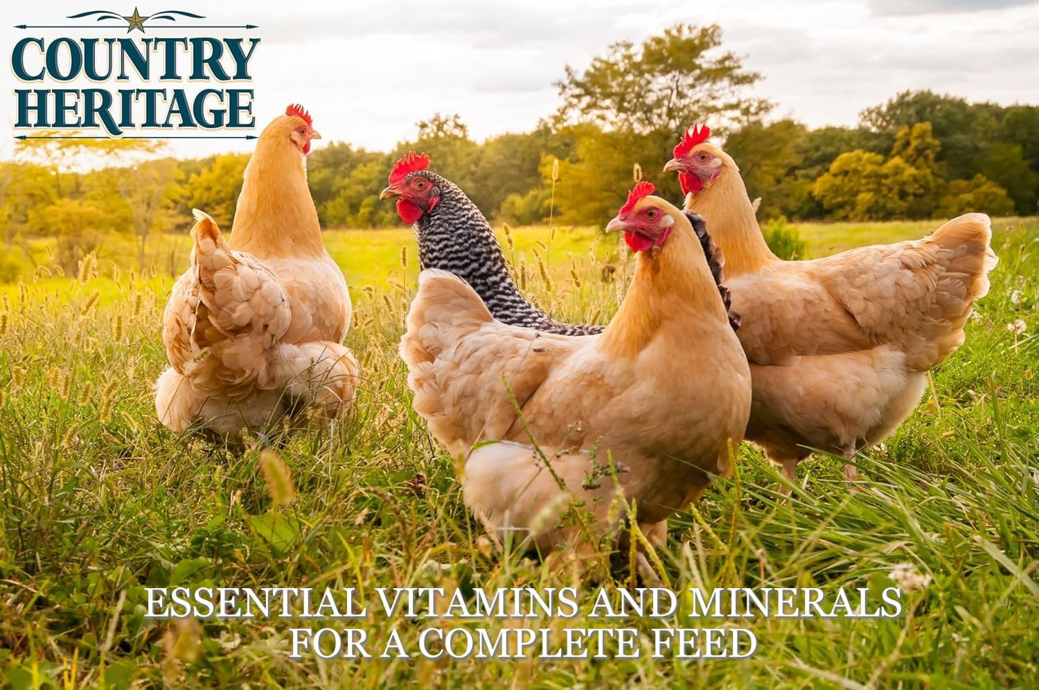 Country Heritage Chicken Layer Crumble 50lbs - 16% Protein Feed for Increased Egg Production & Strong Eggshells, High Protein