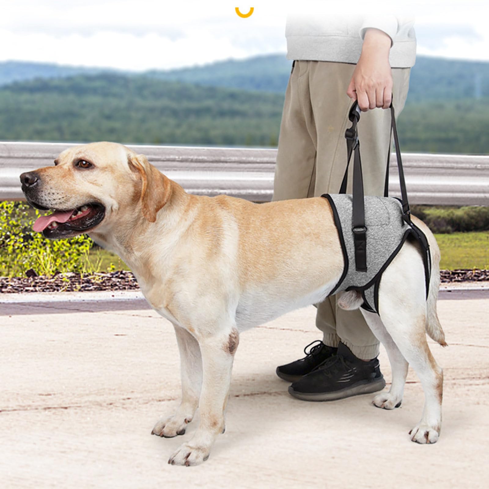 Hundehalftergeschirr Mit Hebefunktion – Verstellbar, Gepolstert, Für Große/mittelgroße Hunde
