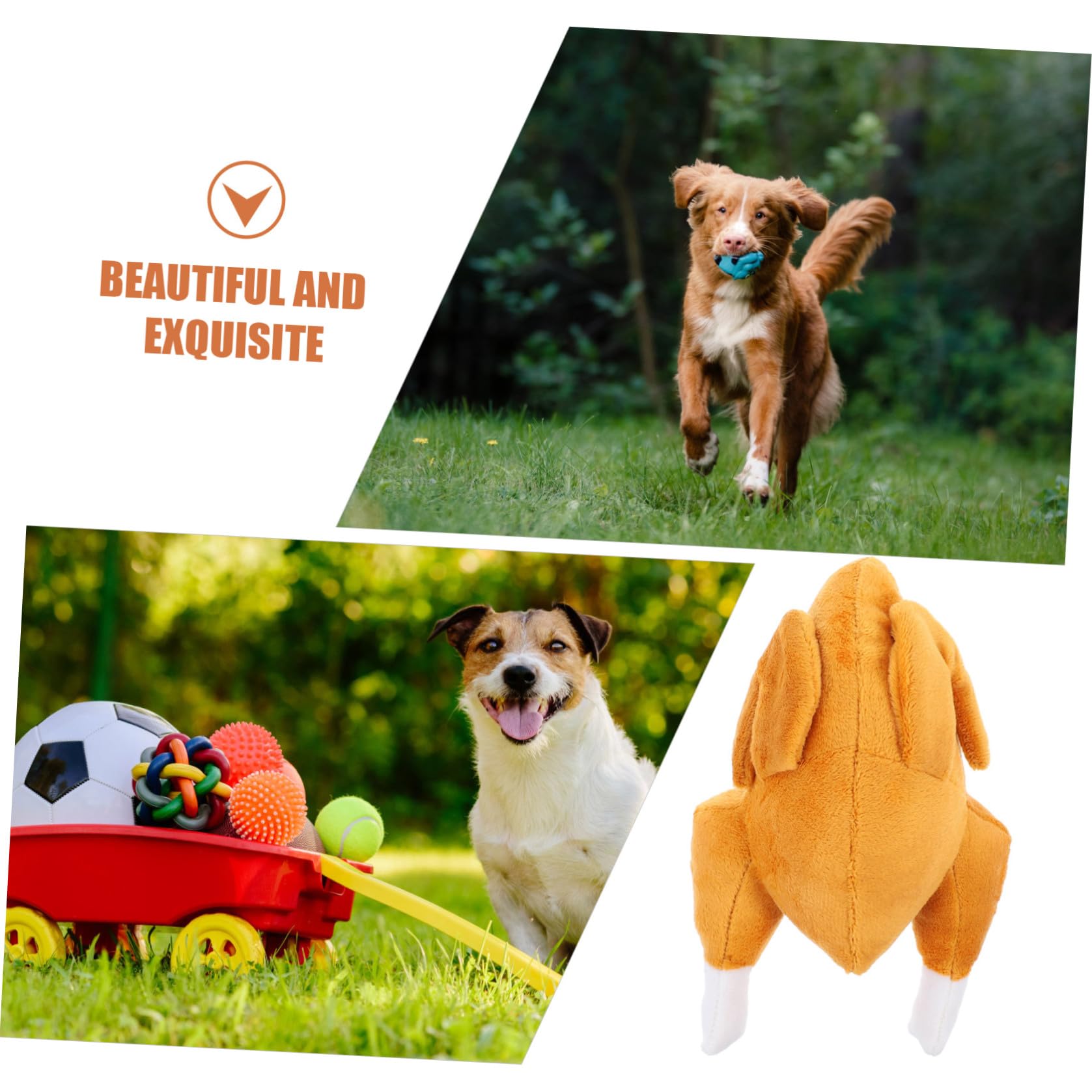 BESPORTBLE 5pezzi Giocattolo Interattivo Per Cani Giocattolo Da Masticare Materiale Sicuro Stimola Gioco Creativo e Addestramento All Aperto Per La Ricerca Di Cibo e La Pulizia Dei Denti