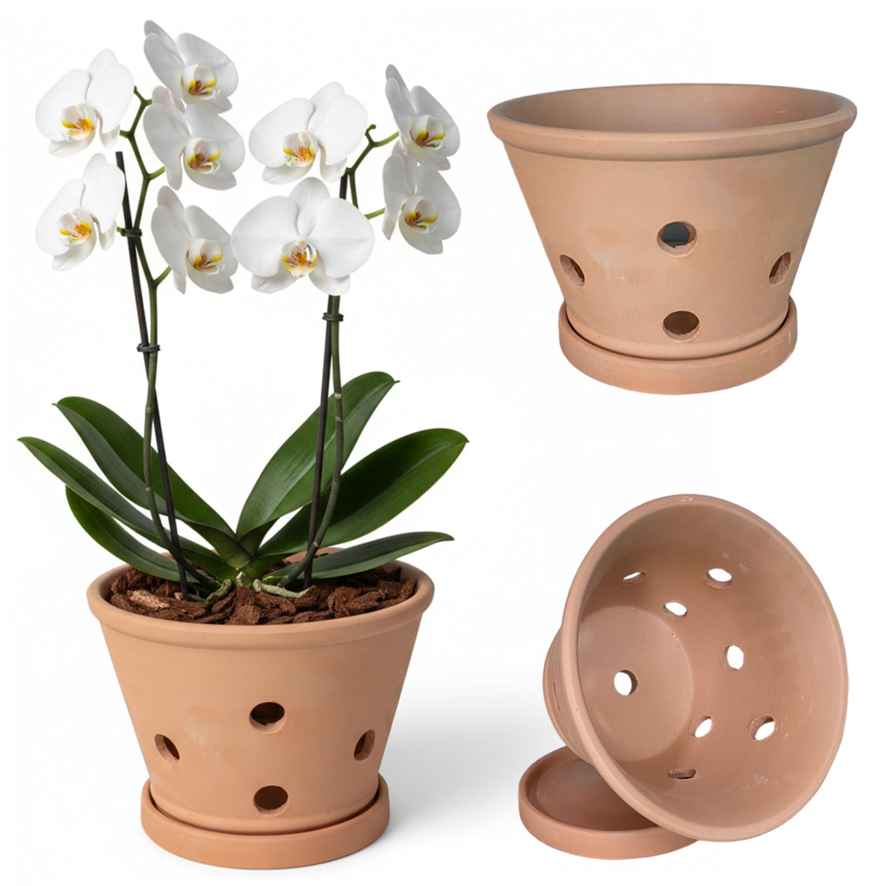 Pots à orchidées favorisant la circulation de l'air pour un rempotage réussi