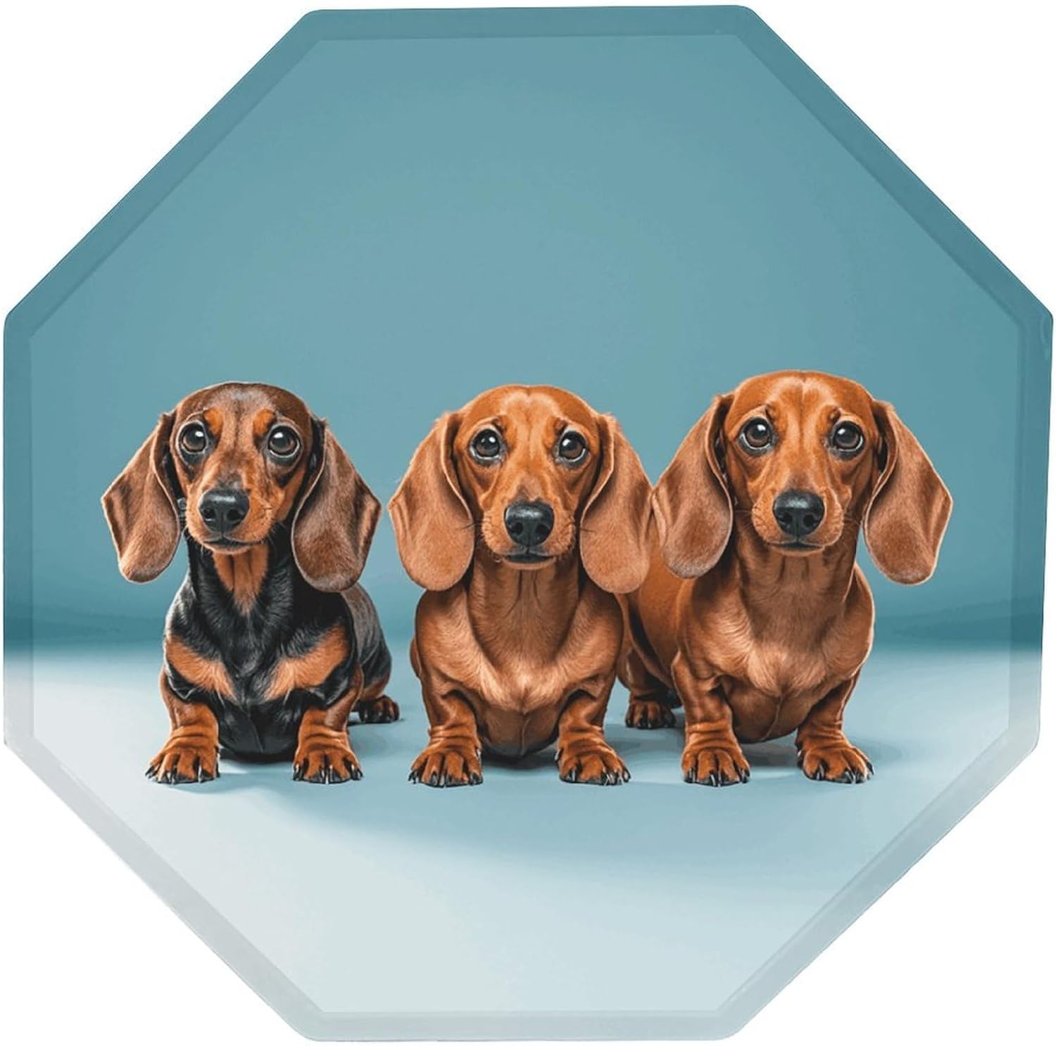 Ctagon Metal Sign for Home, Modern Display Plate for Kitchen, Three Dachshunds Plates Accent Hanging Wall Decorations 3PCS for Living Room, Bedroom, Hallway, Hotel