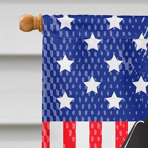 Vista 360 de Caroline's Treasures BB2171GF American Flag and Border Collie Garden Flag Mailbox Flag Decorative Yard Flag Banner Outside Patio Artwork Yard Flower