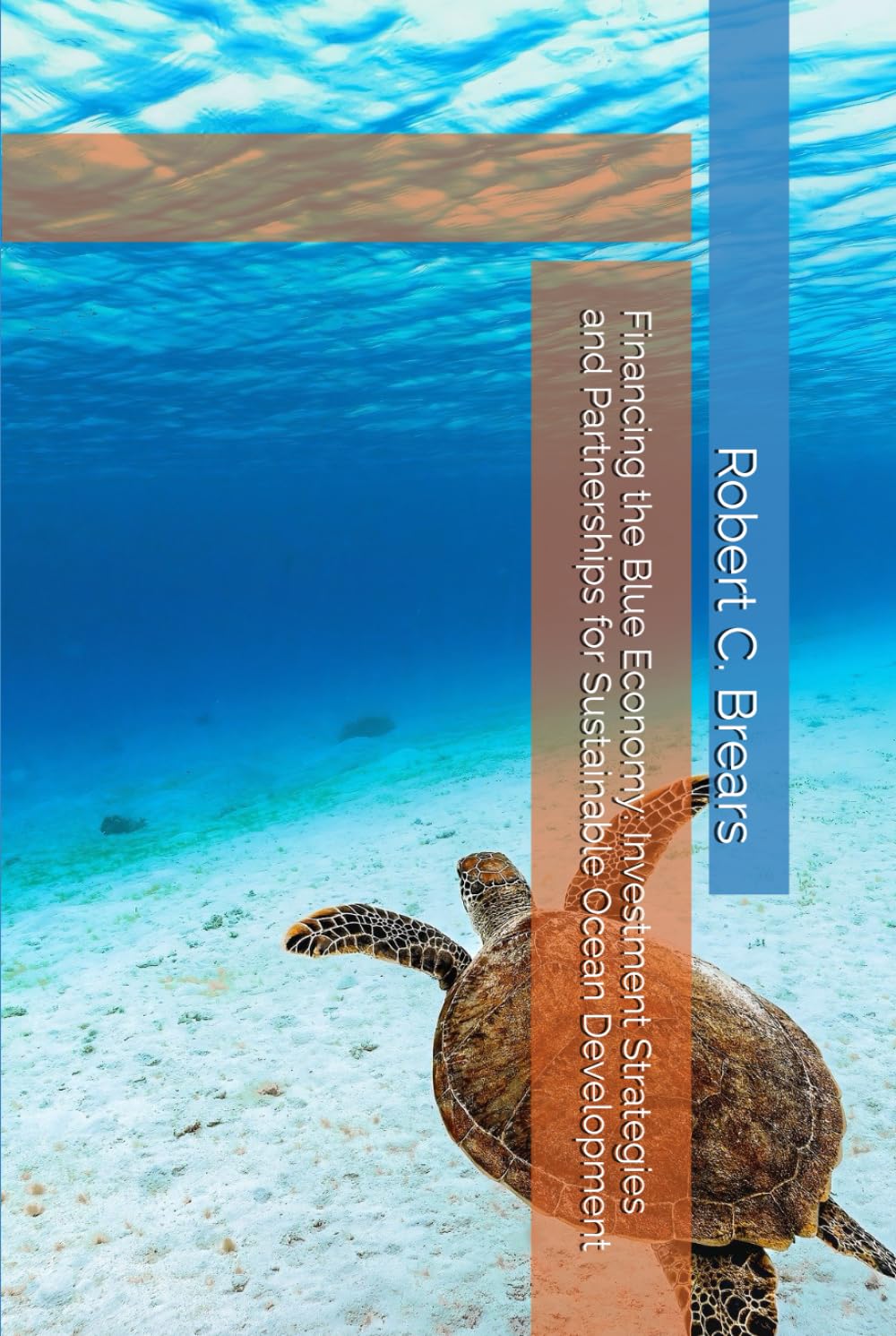 Financing the Blue Economy: Investment Strategies and Partnerships for Sustainable Ocean Development