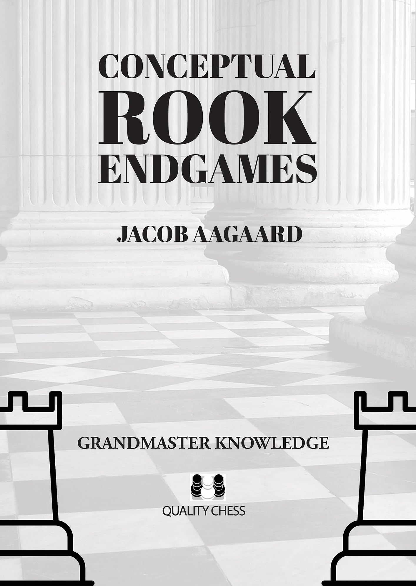 Conceptual Rook Endgames: Grandmaster Knowledge