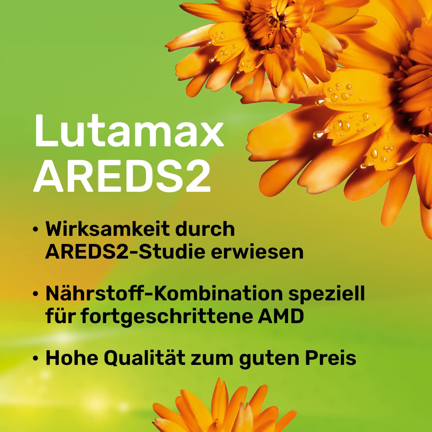 Lutamax AREDS 2 – 60 Kapseln | Lutein & Zeaxanthin | Augenvitamine bei AMD und altersbedingten Augenproblemen | 1-Monats-Pack