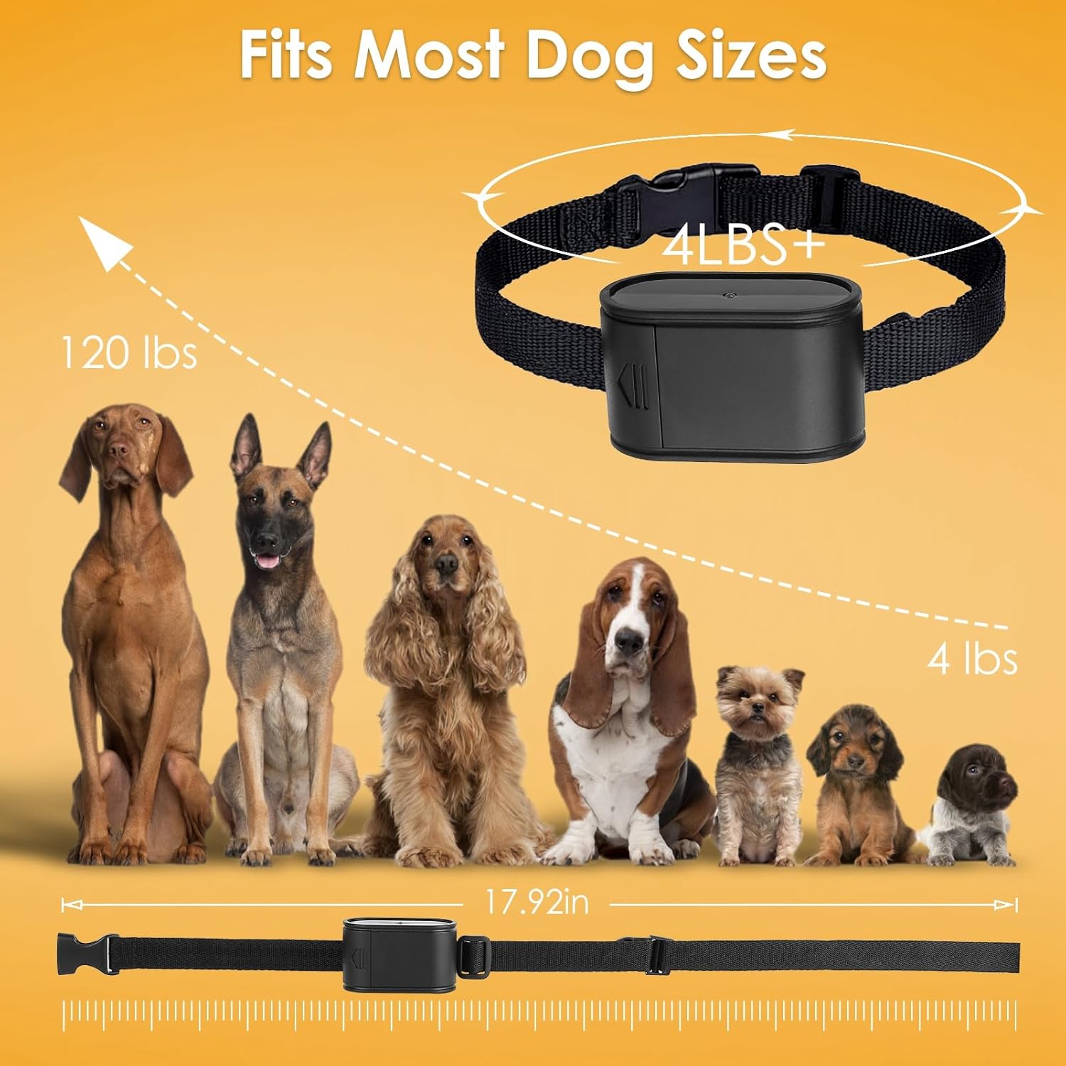 In-Ground Electric Dog Fence System for 2 Dogs - Covers up to 6/5-Acre, Electric Circular Fence for Dogs, Pet Tone Shock Boundary Containment Waterproof Collar Receiver for Small Medium Large Dogs