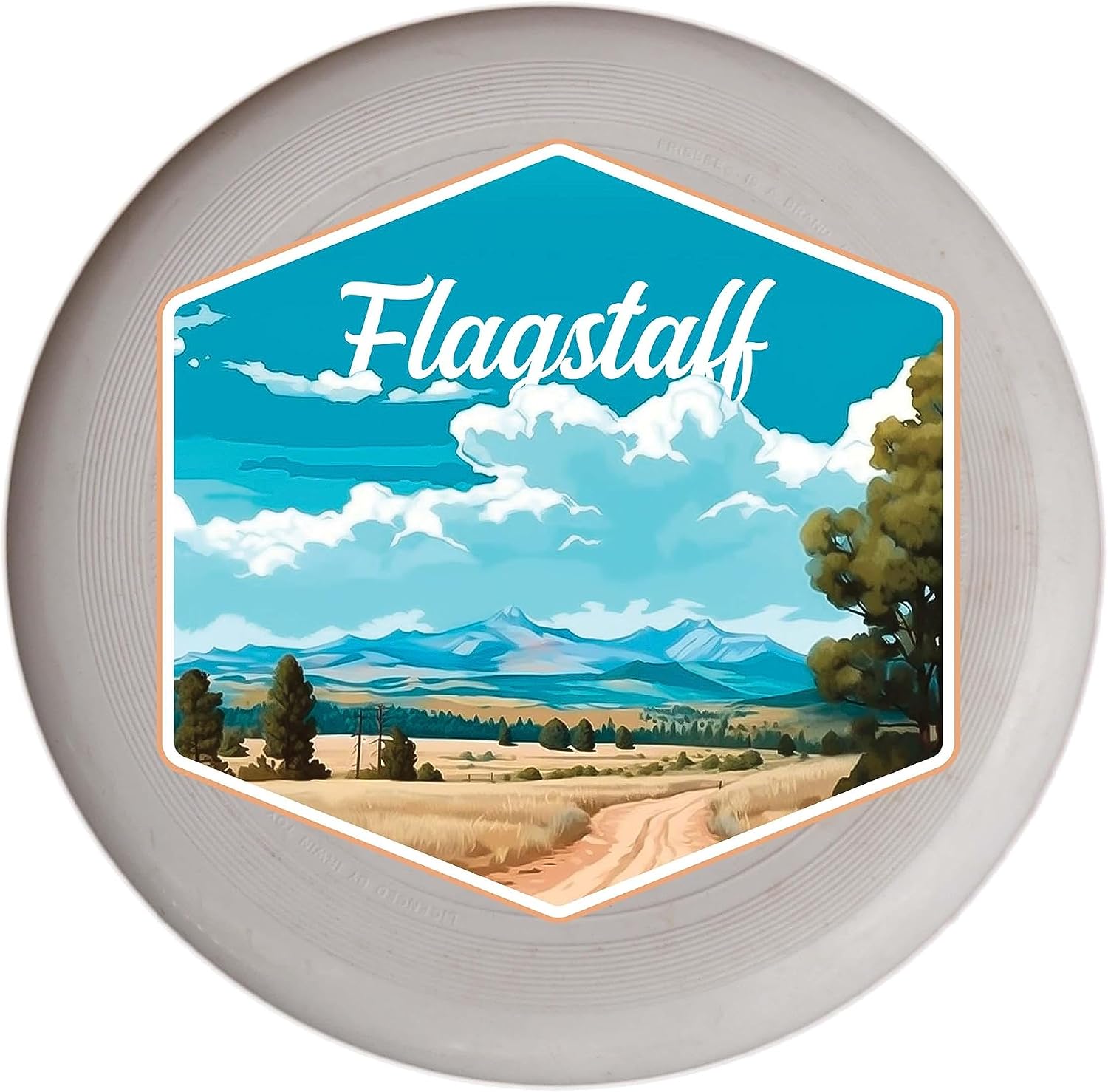 Fort Lauderdale Florida Design A Souvenir Flying Disc 4-Pack