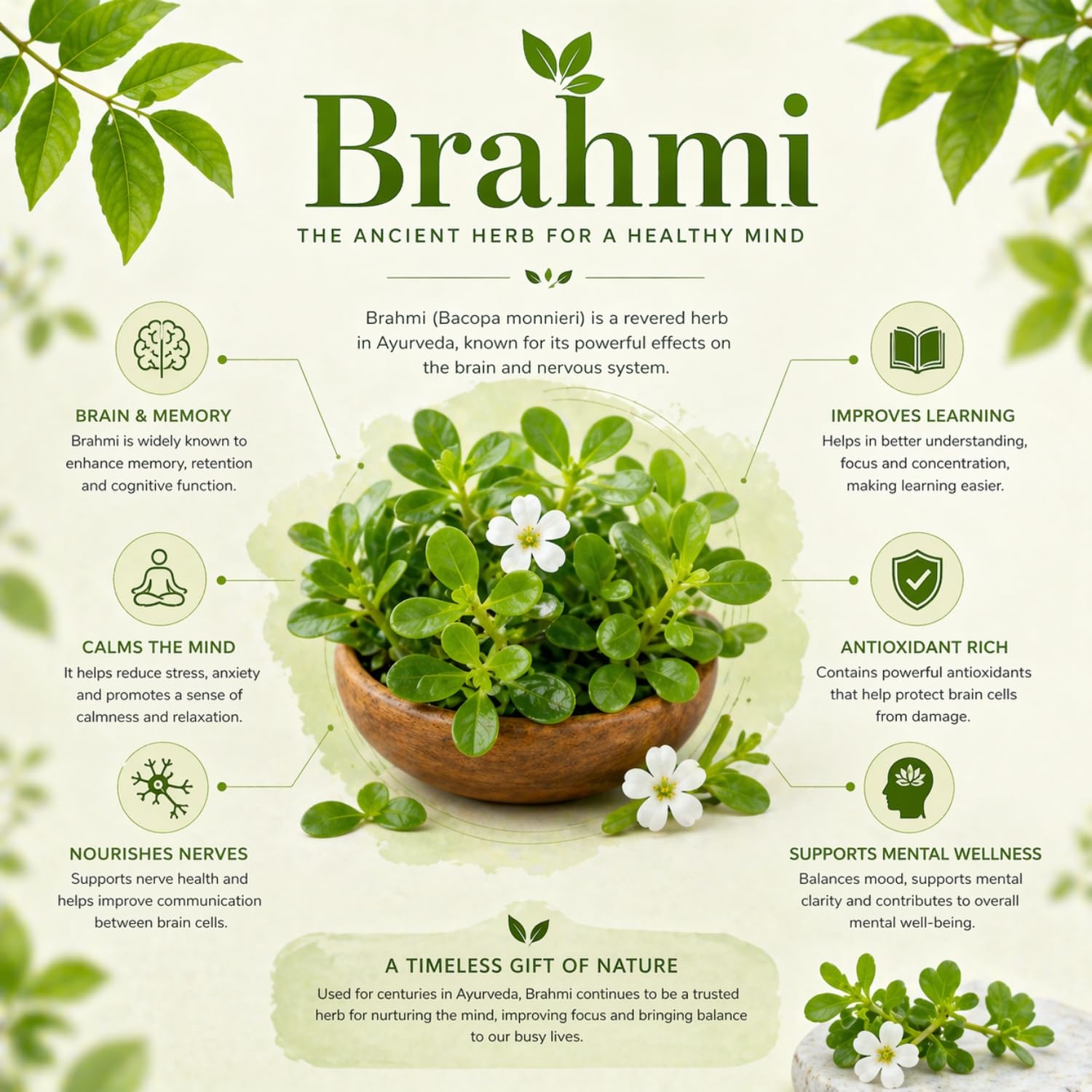 Sudarshana Naturals Brahmi Sabut 100g | Whole Brahmi Herb | Natural Daily Use Ingredient — Amazon image 6