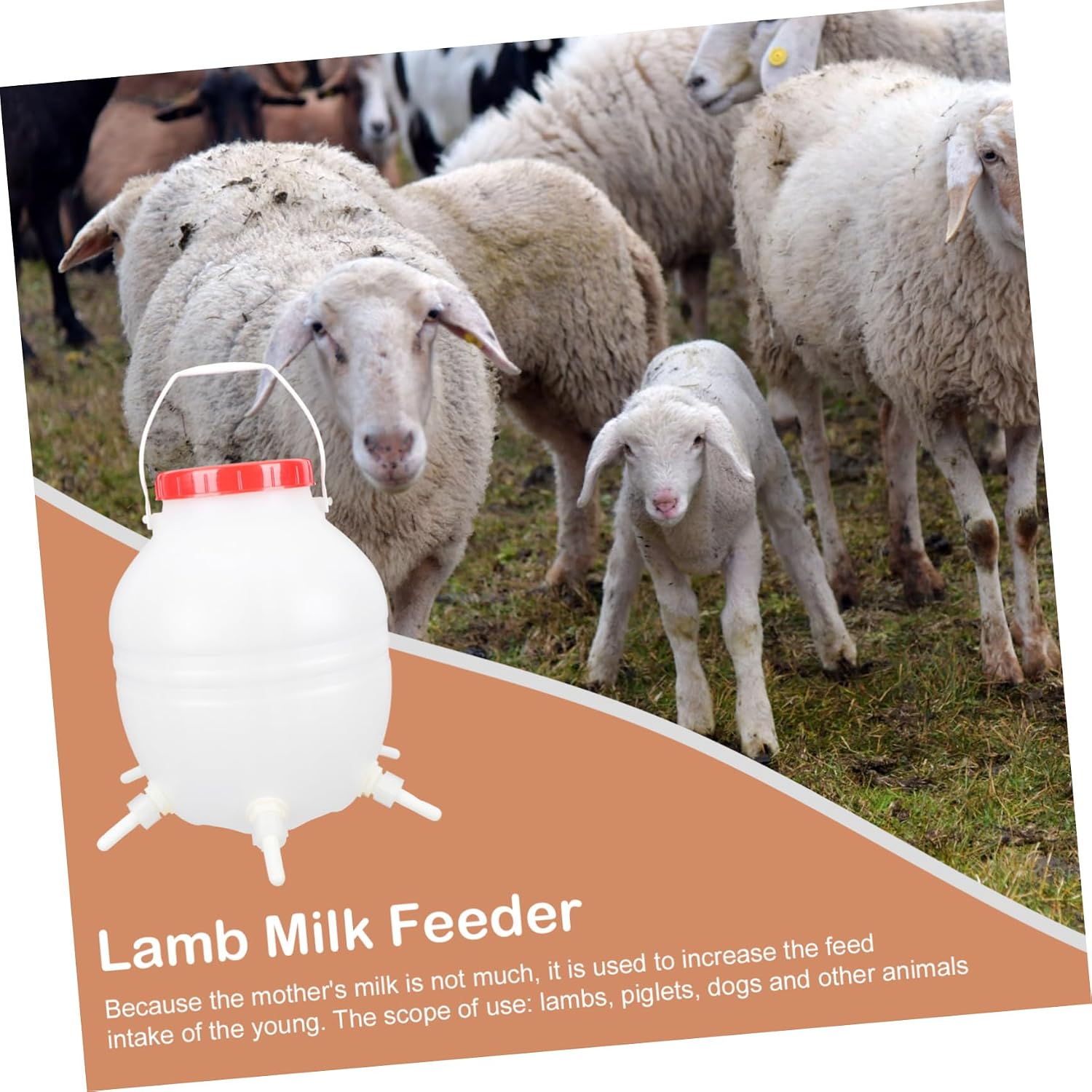 Capacity Silicone Nipples Lamb Milk Bucket Calf Feeder Bottle for Livestock