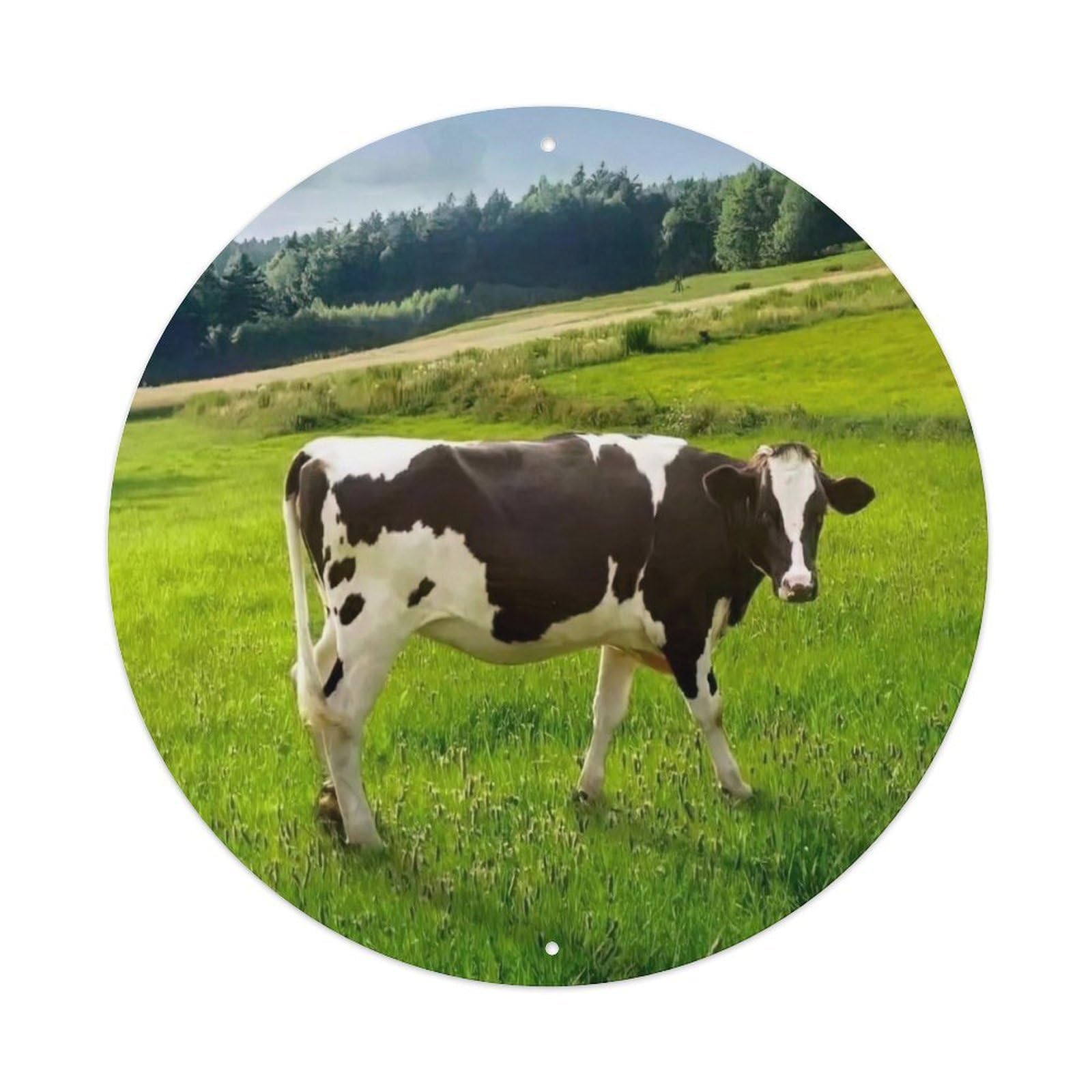 Animal Holstein Cow in Pasture with Meadow And Countryside Landscape Vintage Metal Tin Sign Plaque Wall Decor for Cafe, Club Bar, Office, Garden Metal Poster 8x8Inch