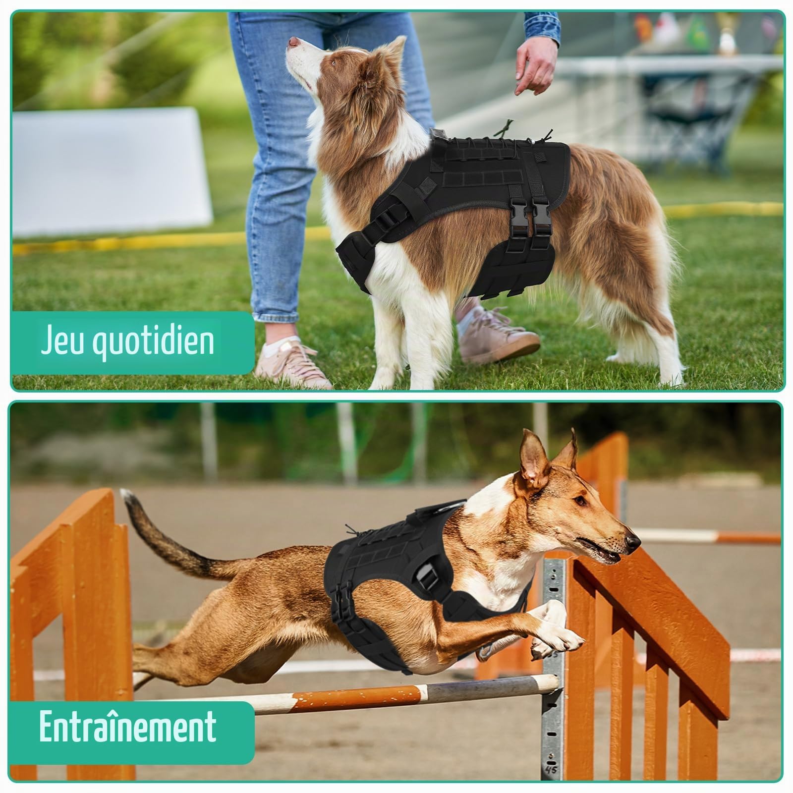 YooxArmor Harnais Chien Anti Traction Tactique avec Laisse pour Petit Moyen Chien,Harnais Chien Réglable avec Attache Devant & Poignée Contrôl,Facile à Mettre,Arnet pour Chiens Solide Respirant,Noir,S