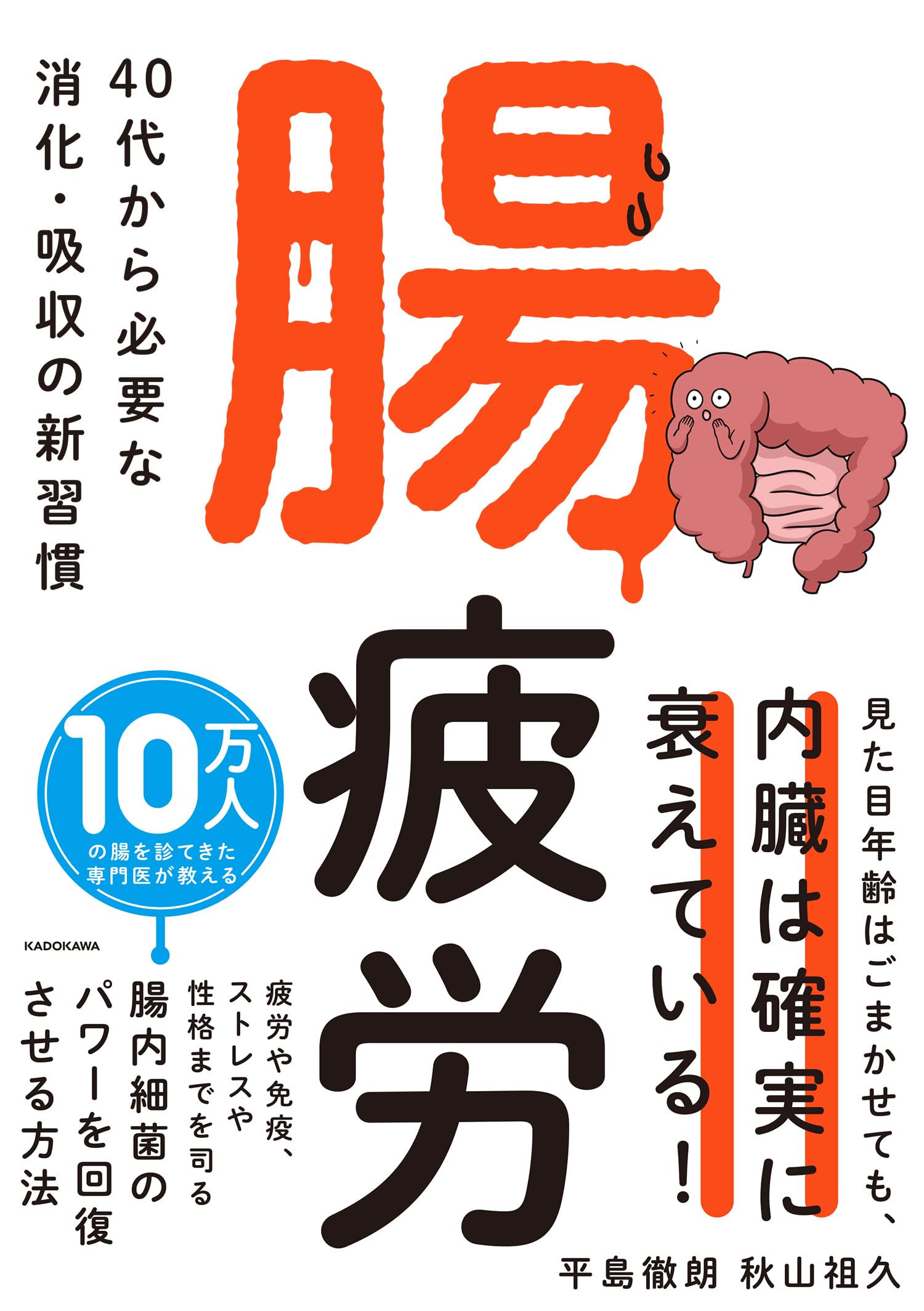 下山 一時的な腸 CD 71dJLRE5AQL.jpg