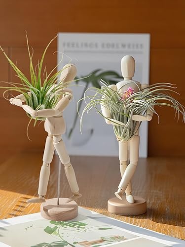 Miniatura 8 de ANPHSIN 4 soportes de madera para plantas de aire, soporte único articulado para plantas de aire con posturas ajustables, contenedor de exhibición