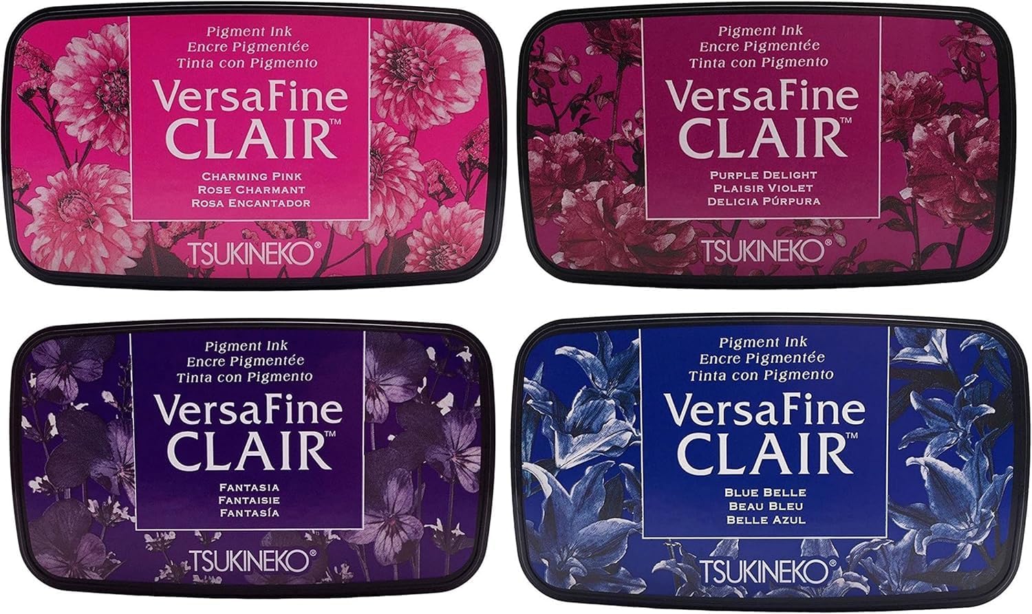 Tsukineko Versafine Clair Ink Pads, 24 Colors, 1 oz Gary Burlin Clear Embossing Powder, 3 Carnora Embossing Powder Scoops